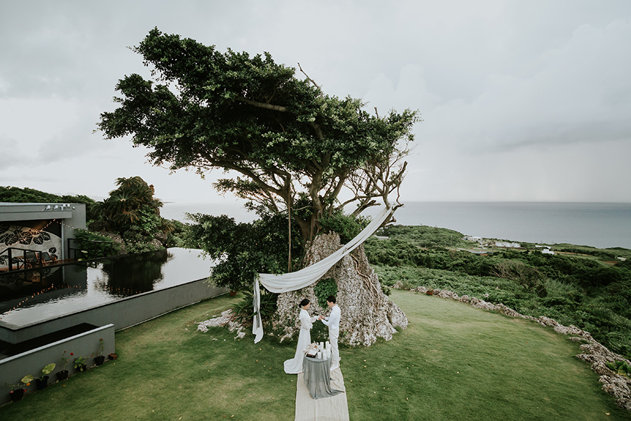 Holy tree wedding3