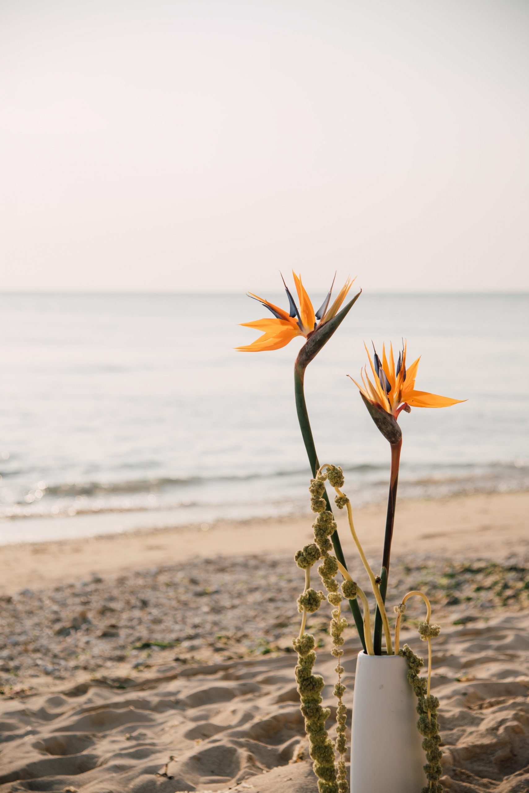 沖縄のビーチとストレチアの花