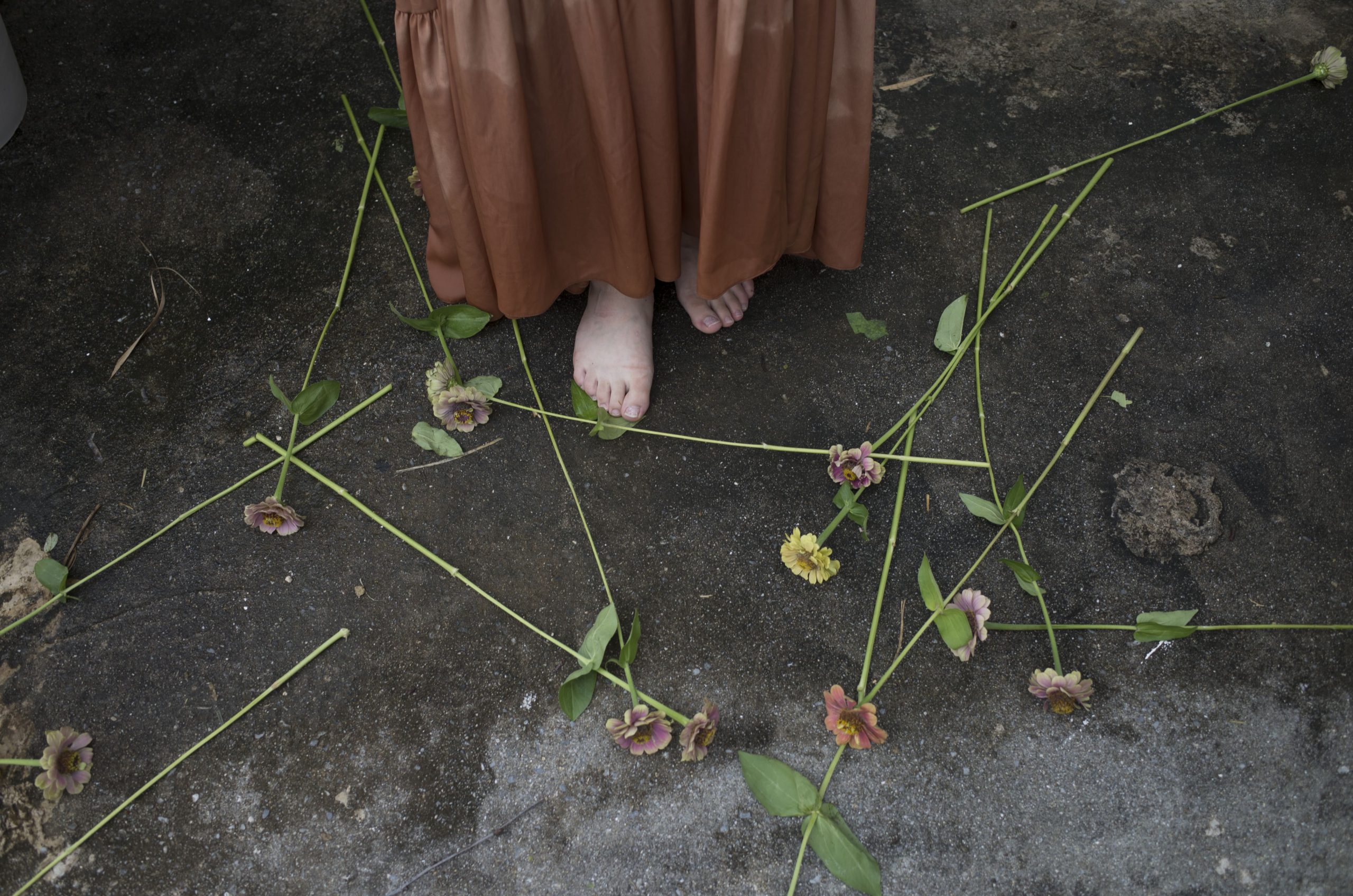 地面に散りばめたジニアの花