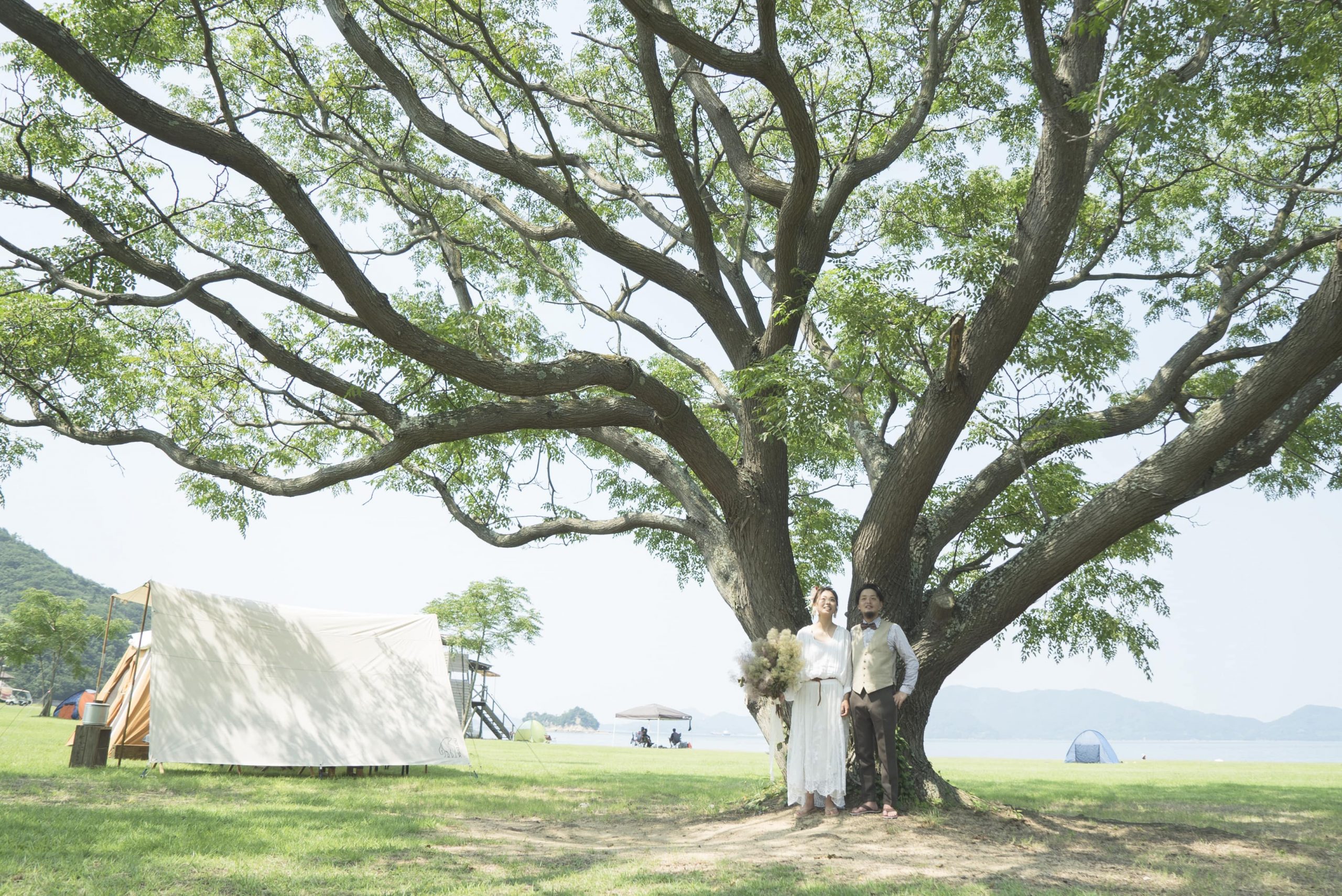 大きなシンボルツリーと新郎新婦