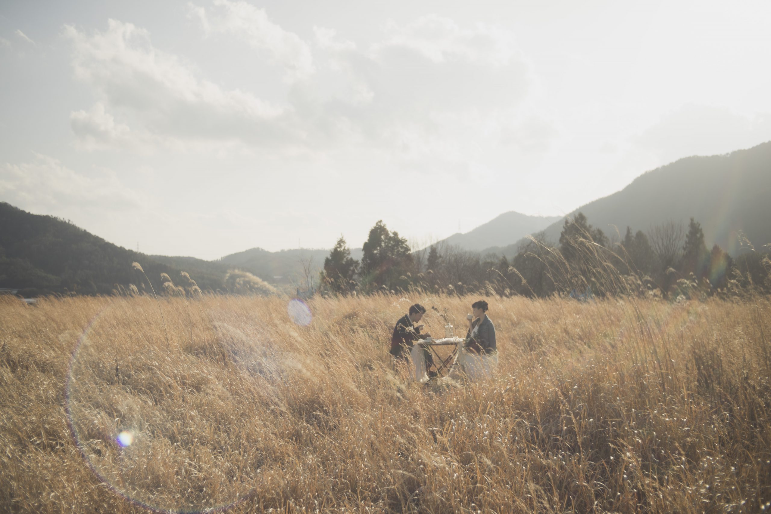草原の中でテーブルを置いたフォトウェディング