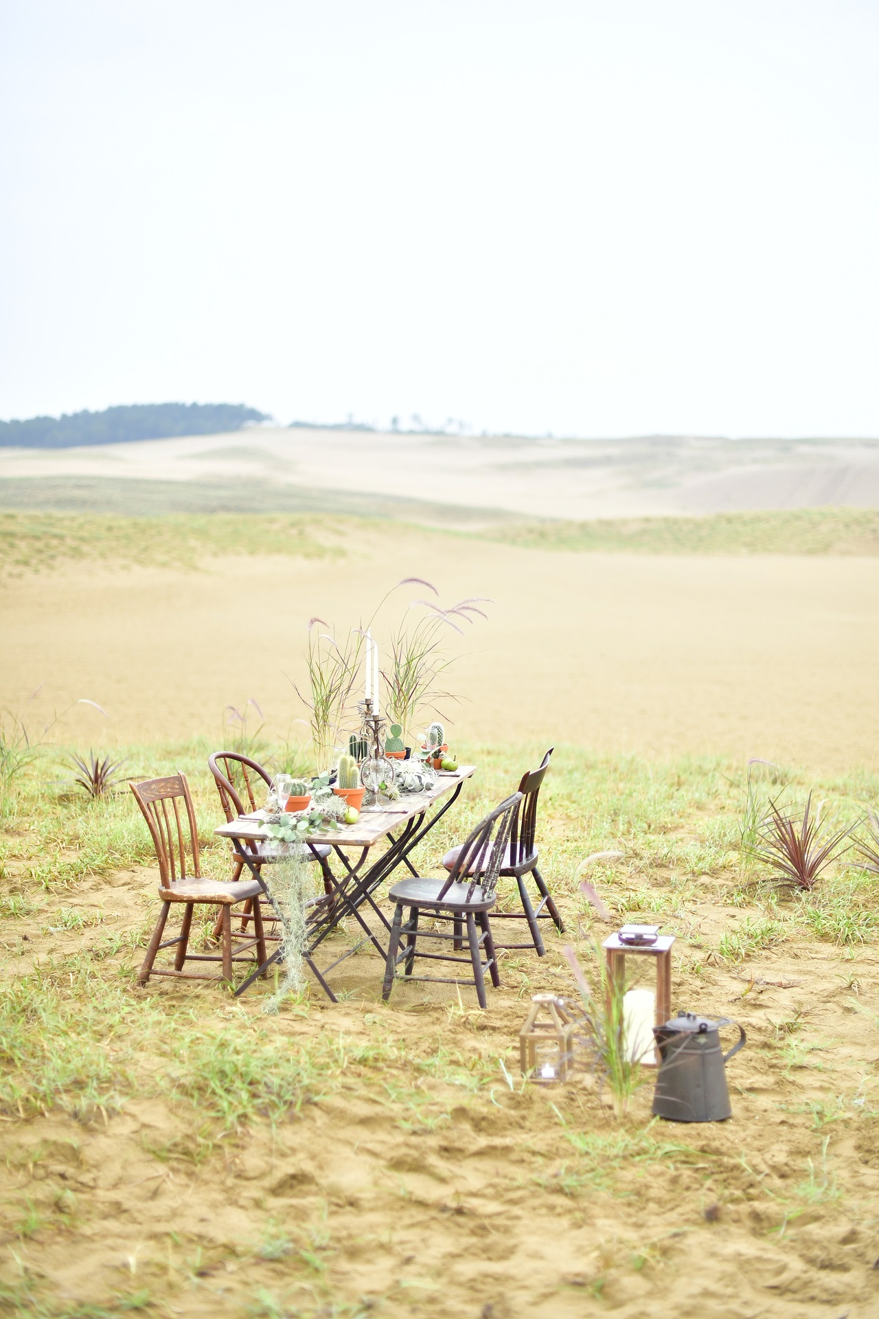 鳥取砂丘でのテーブルコーディネート
