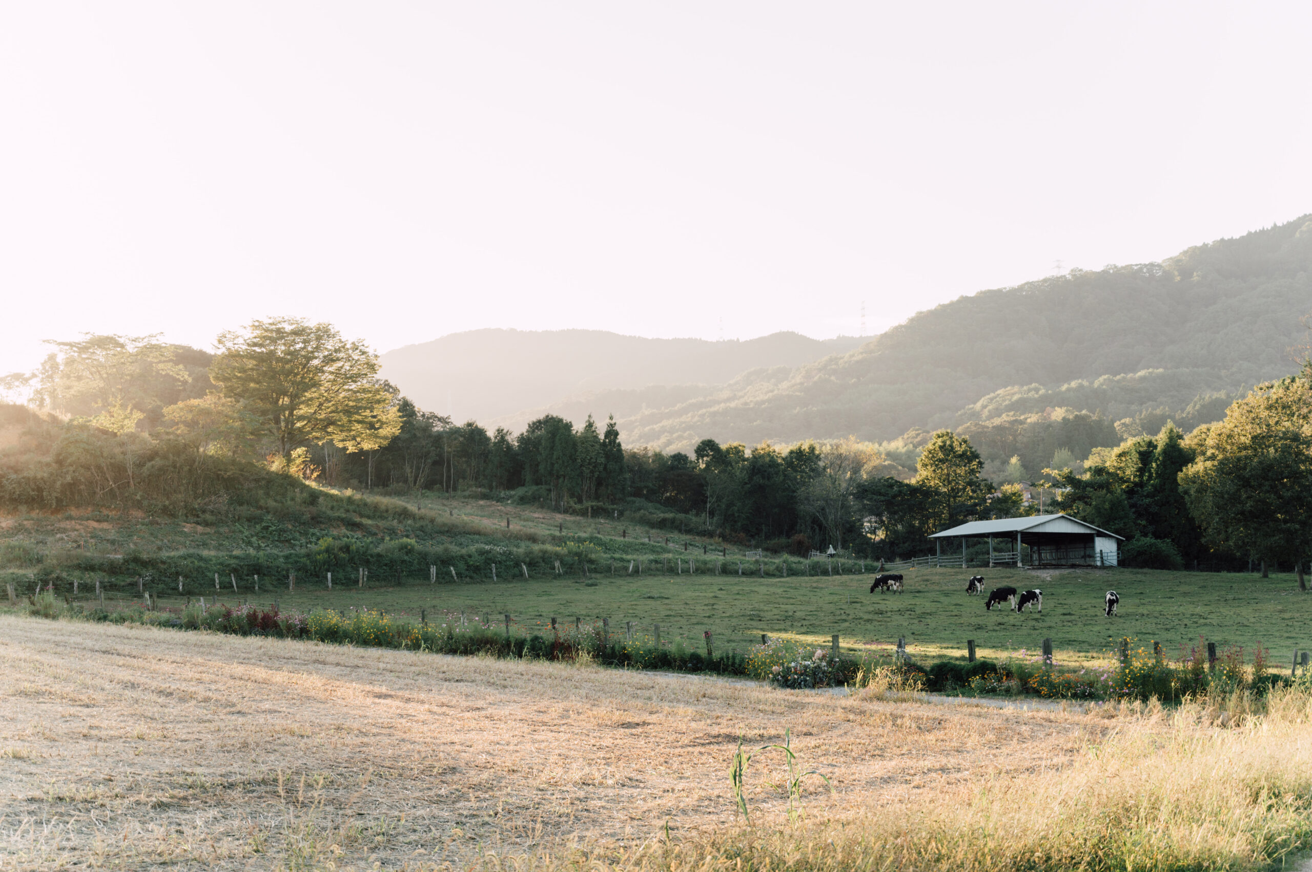 久保アグリファームでの結婚式